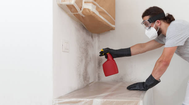 Professional Mold Removal technician working in Newton Lower Falls, MA