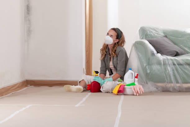 Reliable Mold Removal contractor in Newton Lower Falls, MA by WQB Mold Removal